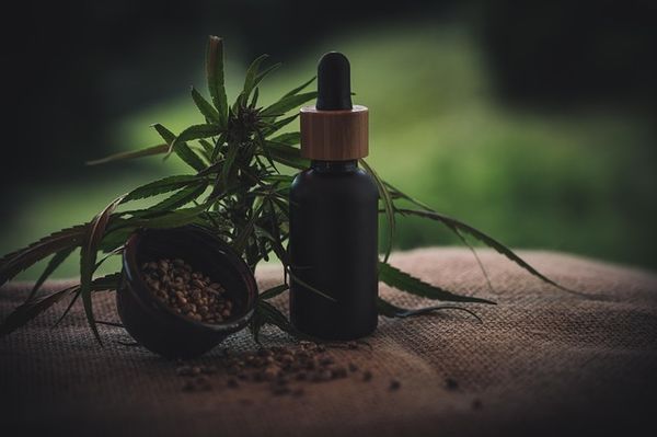 Olejki CBD - dlaczego stały się tak popularne w suplementacji?