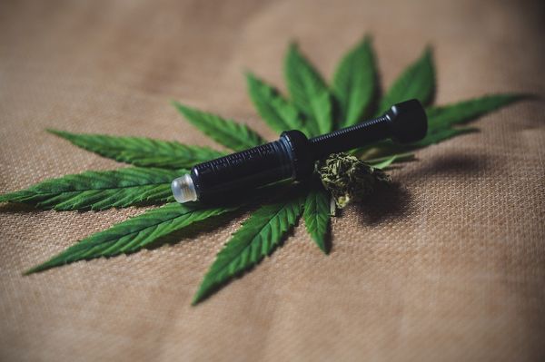 Sekrety skutecznego wykorzystania olejków CBD