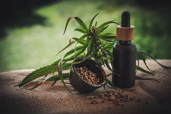 Różnorodność zastosowania konopi w medycynie naturalnej - ciekawostki